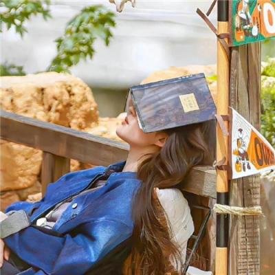 艾莉塔:战斗天使